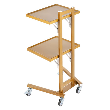 Stainless Steel 2-Tier Lab Cart, 2 Trays, 44 lb Capacity