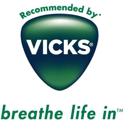 Steam inhaler V1300