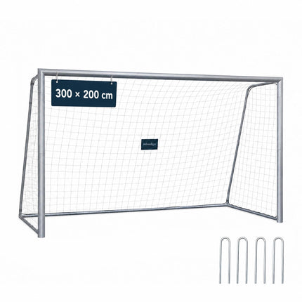 Steel Football Goal 300 x 200 cm with Tear-Resistant PE Net, Grey