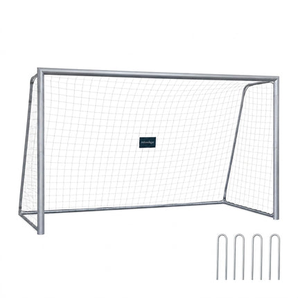 Steel Football Goal 300 x 200 cm with Tear-Resistant PE Net, Grey