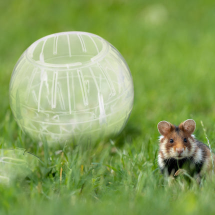 Minge de hamster transparenta Ø 14 cm