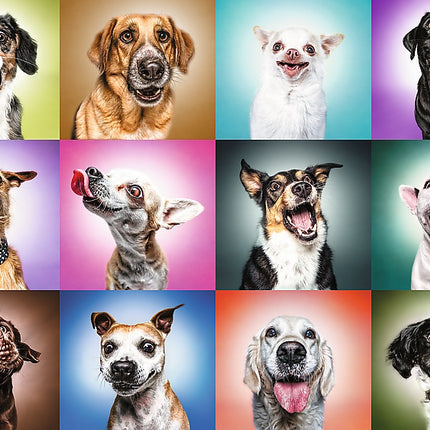 Trefl Prime Puzzle Funny Dogs Faces, 1000 piese