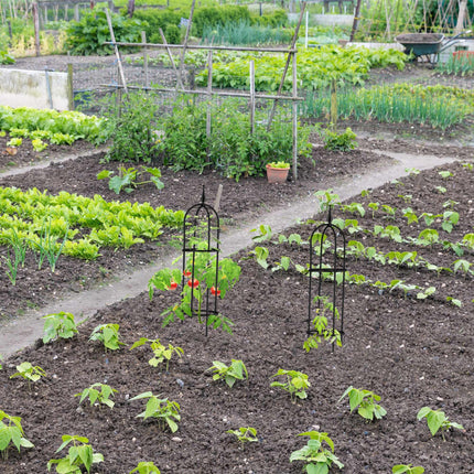 Spalier 85 cm, set de 2