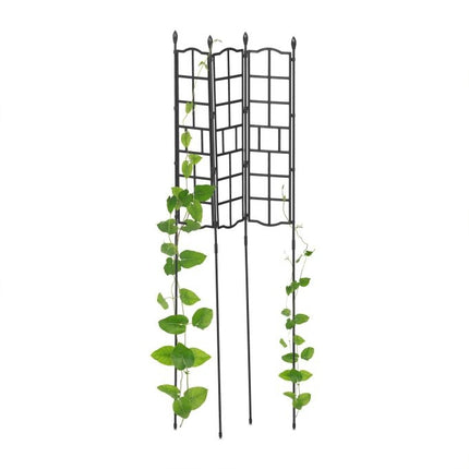 Set spalier de 3 124 cm