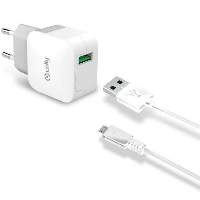 USB charger MicroUSB 2.4A