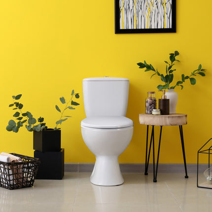 Scaun WC cu scaun pentru copii