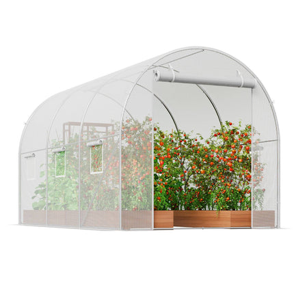 Walk-In Tunnel Greenhouse 2.9x2x1.9 m – PE Cover
