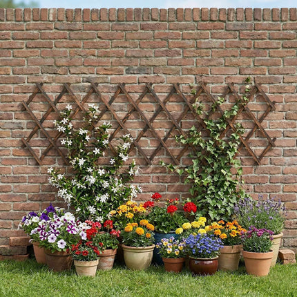 Spalier extensibil pentru plante din molid, montat pe perete, set de 3