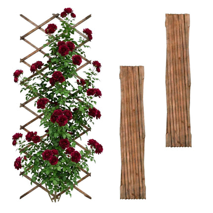 Spalier pentru plante montat pe perete, extensibil XXL, format din 3 piese