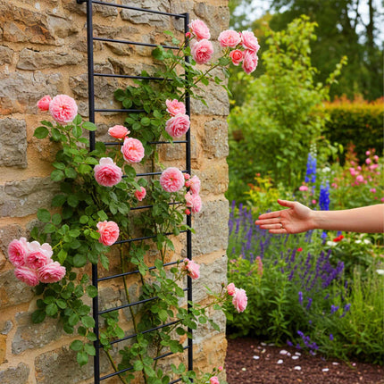 Wall-Mounted Steel Trellis for Climbing Plants, 210 x 76 cm, Black