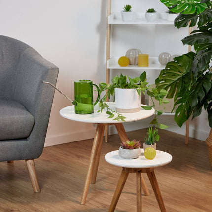 Adapator pentru plante in ghiveci 1 litru set de 2