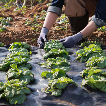 Weed Barrier Landscape Fabric 4 x 50 Ft, Woven PP 3.2 oz