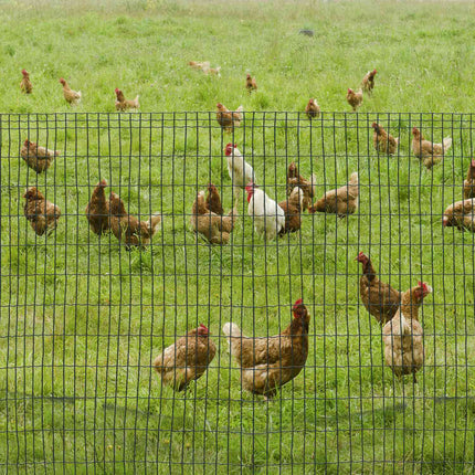 Dark Green Garden Fencing Roll 10 x 1.22 M - Pet and Poultry Fence