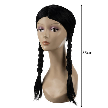 Women's Long Wig with Braids, Black Synthetic Hair
