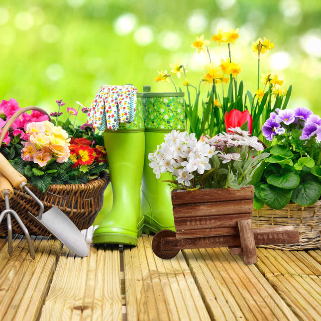 Roaba din lemn pentru plante - set de 2