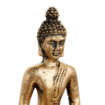 Grădina Zen cu Buddha
